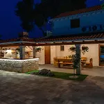 Celtis - Mediterranean Reverie Near Dubrovnik *