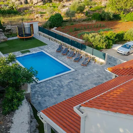 Celtis - Mediterranean Reverie Near Dubrovnik *