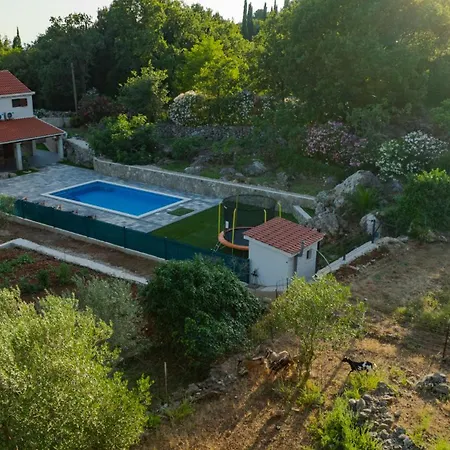 Celtis - Mediterranean Reverie Near Dubrovnik