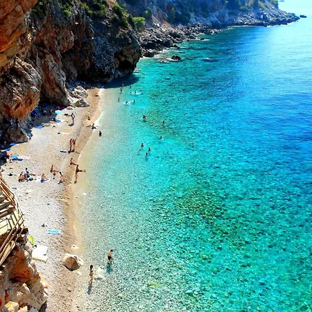 Celtis - Mediterranean Reverie Near Dubrovnik