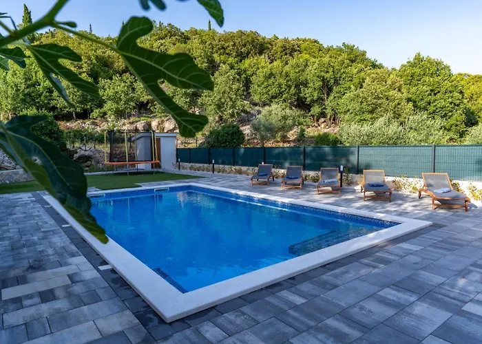 Celtis - Mediterranean Reverie Near Dubrovnik Poljice