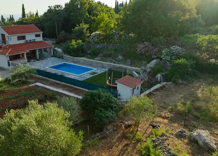 Celtis - Mediterranean Reverie Near Dubrovnik