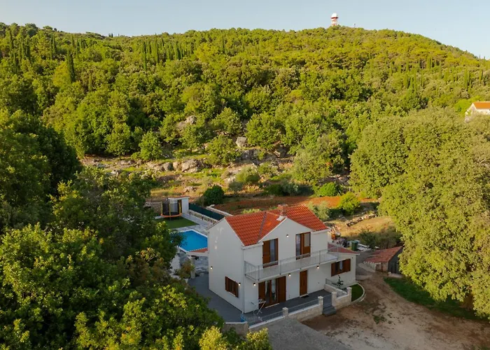 Celtis Villa Poljice