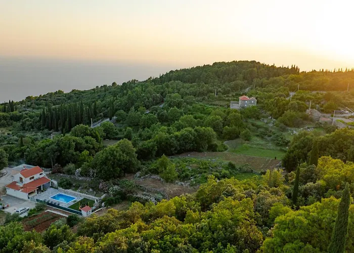 Celtis - Mediterranean Reverie Near Dubrovnik *